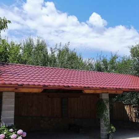 Apartament House Mihaela&Nina Selište Drežničko Zewnętrze zdjęcie