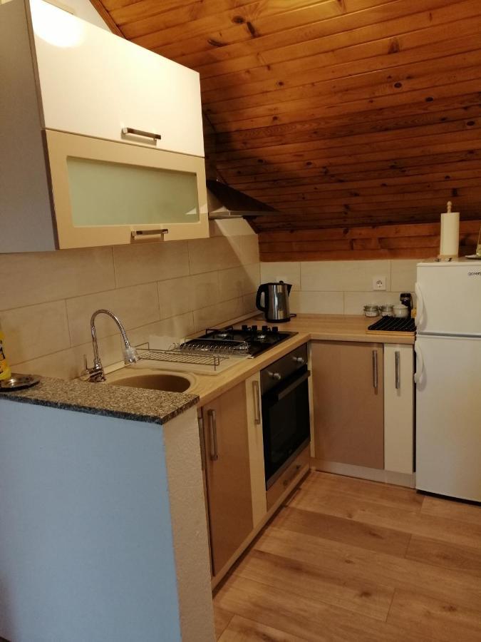 Apartament House Mihaela&Nina Selište Drežničko Zewnętrze zdjęcie