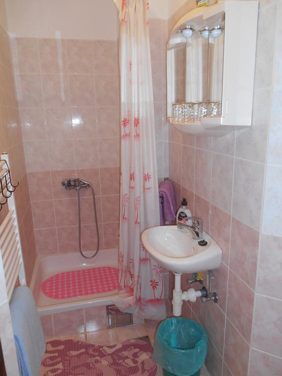 Apartament House Mihaela&Nina Selište Drežničko Zewnętrze zdjęcie