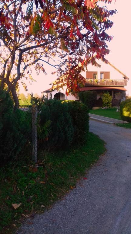 Apartament House Mihaela&Nina Selište Drežničko Zewnętrze zdjęcie