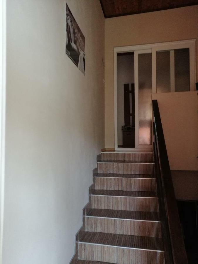 Apartament House Mihaela&Nina Selište Drežničko Zewnętrze zdjęcie