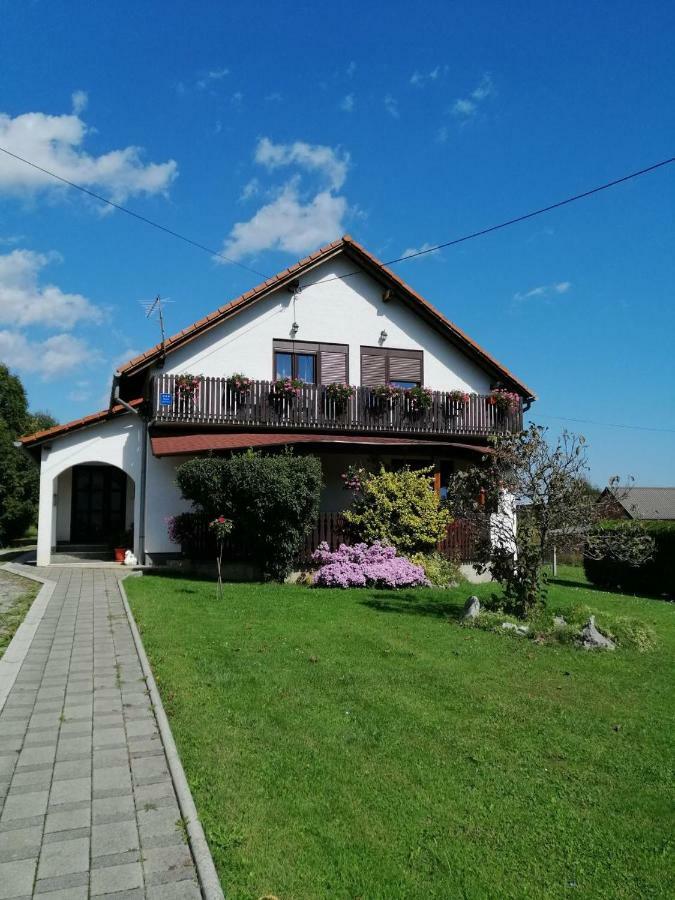 Apartament House Mihaela&Nina Selište Drežničko Zewnętrze zdjęcie